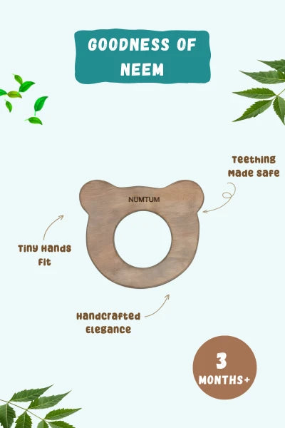 Bear Buddy Teether Image 3